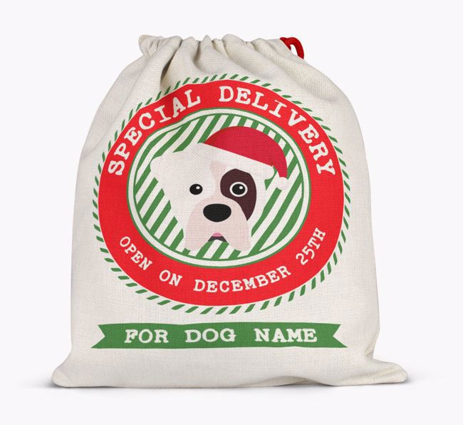 Special Delivery: Personalized {breedFullName} Santa Sack